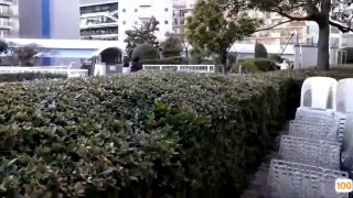 国产j8又长又大一区二区三区|亚洲精品99久久久久中文字幕